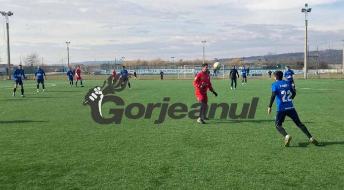 Pleașcă, aproape de Pandurii