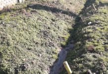 Deversează haznaua direct în șanț! Garda de Mediu a intervenit la Vladimir