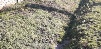 Deversează haznaua direct în șanț! Garda de Mediu a intervenit la Vladimir