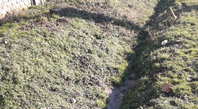 Deversează haznaua direct în șanț! Garda de Mediu a intervenit la Vladimir