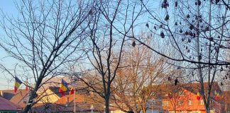 A fugit de polițiști. Tânărul urmărit de oamenii legii s-a oprit cu mașina în Parcul Coloanei fără Sfârșit