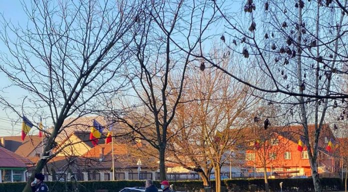 A fugit de polițiști. Tânărul urmărit de oamenii legii s-a oprit cu mașina în Parcul Coloanei fără Sfârșit