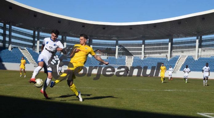 Pisici mici, mici! Pandurii s-a făcut de râs cu Petrolul