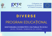 Cadrele didactice, invitate să participe la programul educațional Erasmus+ DIVERSE