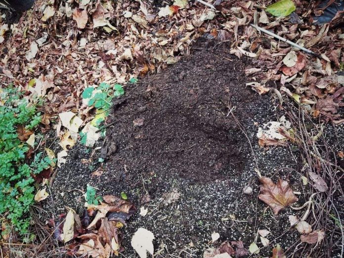 Vezi anunțul Gărzii de Mediu Gorj!