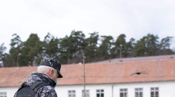 Câini antrenați pentru detectarea persoanelor infectate cu Covid-19