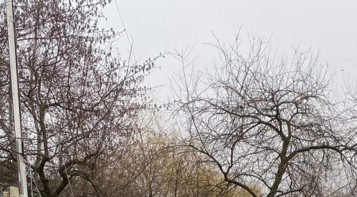 Spălătorie din Novaci, amendată de Garda de Mediu