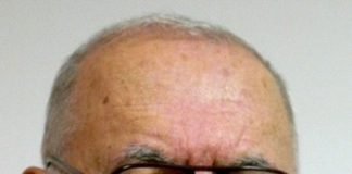 LA UMBRA UNUI FAG ROTAT (I)