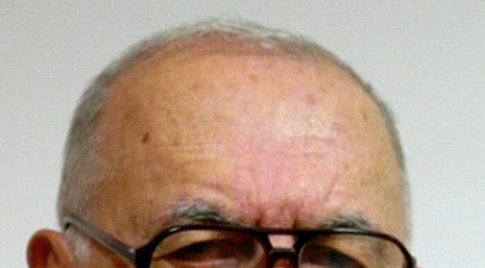 LA UMBRA UNUI FAG ROTAT (I)