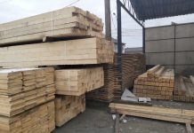 Două depozite de cherestea din Motru, sancționate