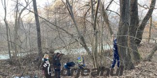 Anchetă pentru câini morți la Stroiești!