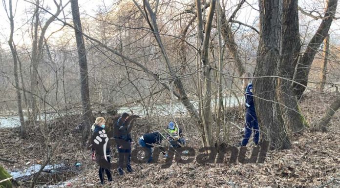 Anchetă pentru câini morți la Stroiești!