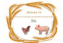 APIA eliberează adeverințe pentru beneficiarii Măsurii 14 ,,Bunăstarea animalelor”