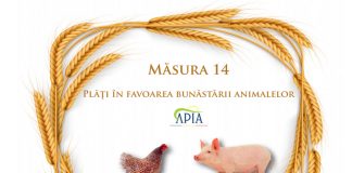 APIA eliberează adeverințe pentru beneficiarii Măsurii 14 ,,Bunăstarea animalelor”