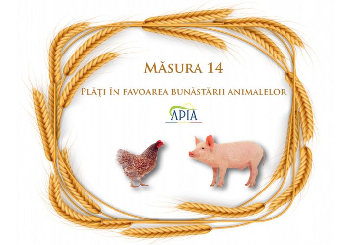 APIA eliberează adeverințe pentru beneficiarii Măsurii 14 ,,Bunăstarea animalelor”