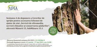 De la 1 martie, APIA Gorj primește cereri pentru schema de ajutor de stat „Servicii de silvomediu, servicii climatice și conservarea pădurilor”