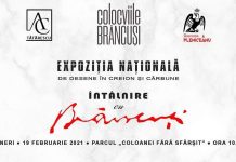 Expoziția Națională ,,Întâlnire cu Brâncuși”, vineri, la Târgu-Jiu