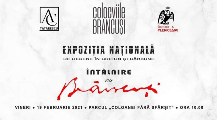 Expoziția Națională ,,Întâlnire cu Brâncuși”, vineri, la Târgu-Jiu