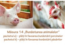 21 februarie, termen pentru depunerea cererilor de plată pentru Măsura 14 „Bunăstarea animalelor”