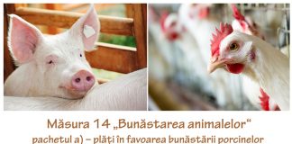 21 februarie, termen pentru depunerea cererilor de plată pentru Măsura 14 „Bunăstarea animalelor”