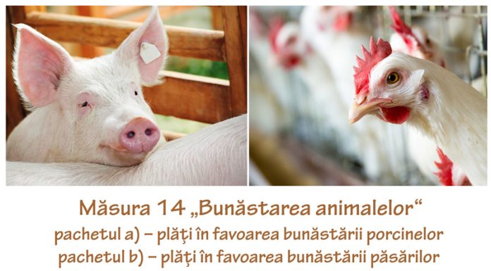 21 februarie, termen pentru depunerea cererilor de plată pentru Măsura 14 „Bunăstarea animalelor”