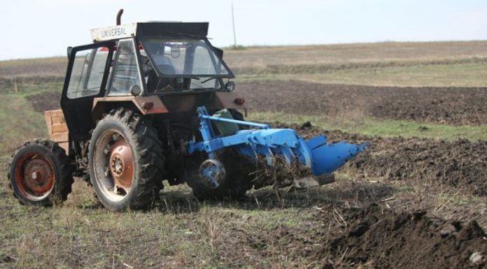 Agricultura pe înțelesul tuturor – Graficul lucrărilor agricole în luna februarie