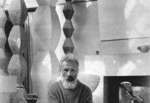 Note critice – O licitație cu crocodil!