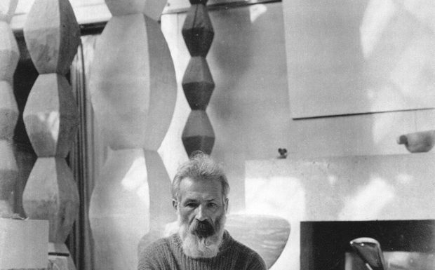 Note critice – O licitație cu crocodil!