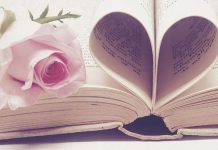 Din prea multă pasiune (IV)