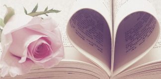 Din prea multă pasiune (IV)