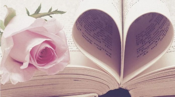 Din prea multă pasiune (IV)