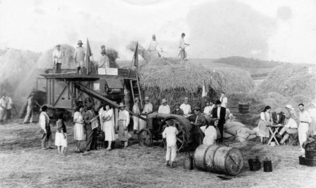 Blestematul proces al colectivizării și impactul asupra familiei mele (Ungureanu Iulia)