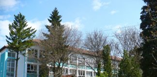 Elevă cu media 4,30, transferată ilegal de la Liceul Sportiv Craiova la Colegiul Tehnic Motru