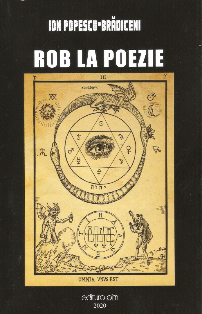 coperta rob la poezie - pim