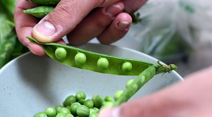 EURES: Sute de joburi în afara țării, la dispoziția gorjenilor