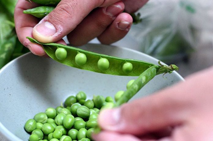 EURES: Sute de joburi în afara țării, la dispoziția gorjenilor