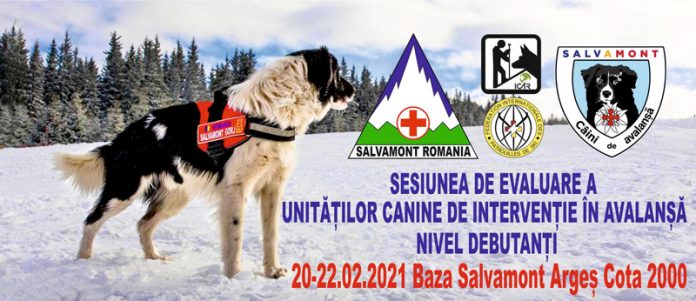 Echipaj al Salvamont Gorj, la Sesiunea de Evaluare a Unităților Canine de Intervenție în Avalanșă