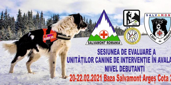 Echipaj al Salvamont Gorj, la Sesiunea de Evaluare a Unităților Canine de Intervenție în Avalanșă