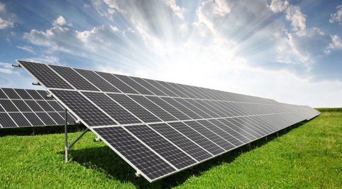 Parc fotovoltaic pe islazul comunal al municipiului