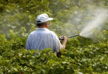 Agricultura pe înțelesul tuturor – Să ne protejăm ecologic grădina, casa