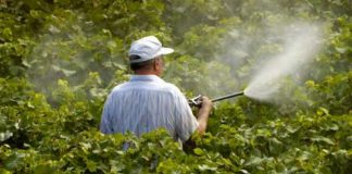 Agricultura pe înțelesul tuturor – Să ne protejăm ecologic grădina, casa