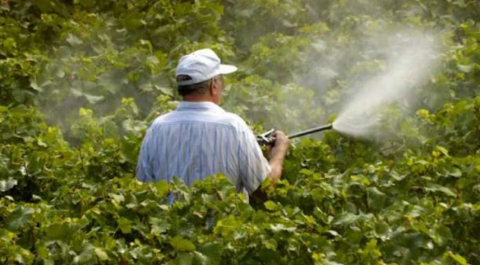 Agricultura pe înțelesul tuturor – Să ne protejăm ecologic grădina, casa