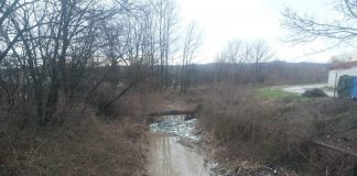 Avertismentul unui primar din Gorj: Vom fi fără milă!