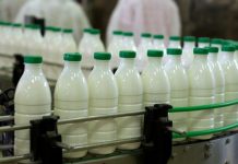 Exploatații non-profesionale și un centru de prelucrare a laptelui din Gorj, sancționate de DSVSA