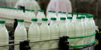 Exploatații non-profesionale și un centru de prelucrare a laptelui din Gorj, sancționate de DSVSA