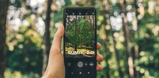 Sistemul care urmărește lemnele din România, funcțional. Deputat: Mișcăm lucrurile!