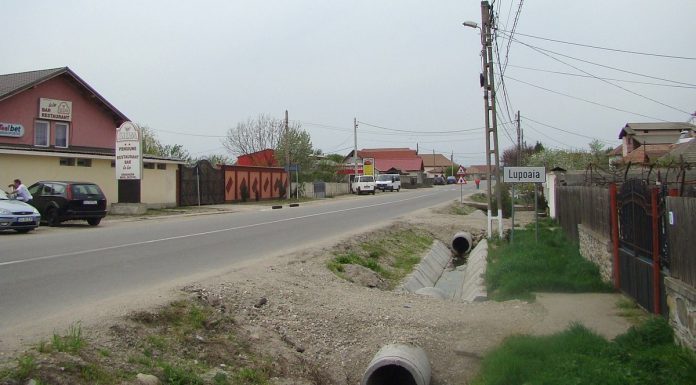 Primesc despăgubiri de zeci de mii de lei de la CEO