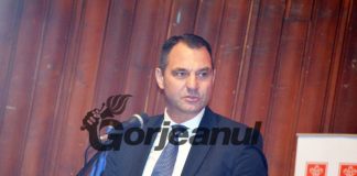 Maioreanu: CEO – cea mai mare victimă a unor politici energetice inacceptabile