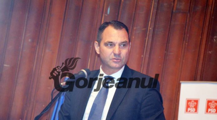 Maioreanu: CEO – cea mai mare victimă a unor politici energetice inacceptabile