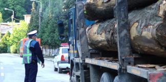 Transport de material lemnos reclamat, verificat de polițiști